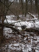 DSCN0792.JPG