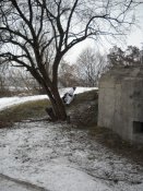 DSCN0806.JPG