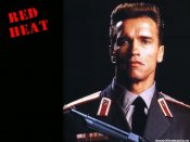 p8-89-wallpaper-arnold-schwarzenegger.jpg