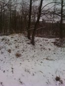 IMG_0094.jpg