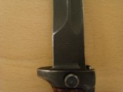 DSC07539.jpg