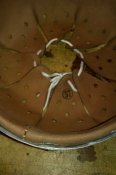IMAG0733.jpg