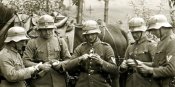 Транспортировочники на волноухих рогачах.jpg