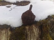 260120112873.jpg