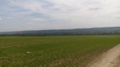 IMG_20160429_132235.jpg