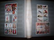 IMG_0039.JPG