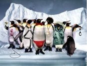 2011-01-27_001144.jpg