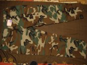 DSC02307 (855 x 641).jpg