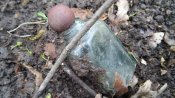 20160430_100724.jpg