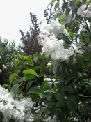 20150519_114443.jpg