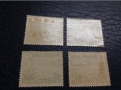 image[1] (12).jpeg