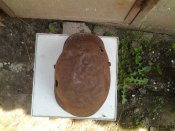 20160502_122213.jpg