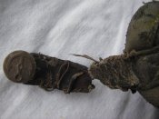 IMGP0409.JPG