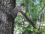 20160503_092637.jpg