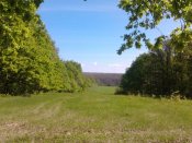 2016-05-03 09.56.57.jpg