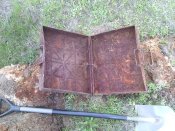 IMG_20160503_153617.jpg