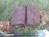 IMG_20160503_153627.jpg