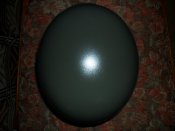SAM_0094.jpg