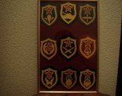 DSC05493.jpg
