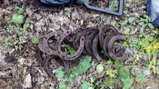 P_20160504_175722_1_p.jpg