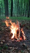 20160504_111045.jpg
