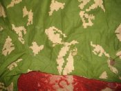 DSC00248.JPG