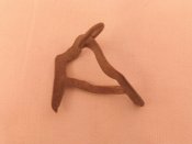 IMG_20160501_085208.jpg