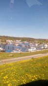 IMG_20160505_160435.jpg
