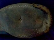 280120115076.jpg