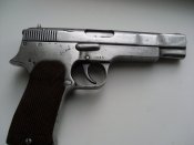 SL376576.JPG