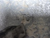 DSC02906.JPG