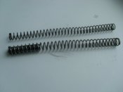 SL376589.JPG