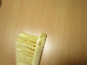 IMG_6952.JPG