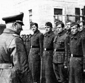 Legin 1.jpg