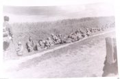 Russland DUBNO Ukraine 1941 7.jpg