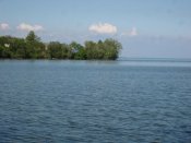 image (13).jpg