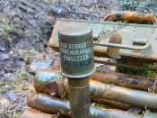 m243.jpg
