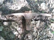 20160427_162916.jpg