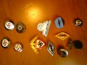DSC01016.jpg