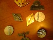DSC01024.jpg