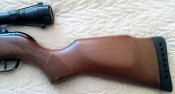 Gamo-HUNTER-440-COMBO 07.jpg