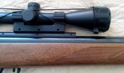 Gamo-HUNTER-440-COMBO 09.jpg