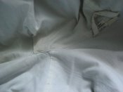 IMG_4480.JPG
