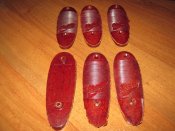 IMG_1853.JPG