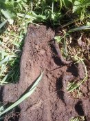 2016-05-12 09.52.24.jpg