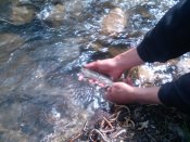 IMG_20160503_144644_1.jpg