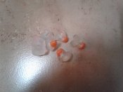 20160308_005710.jpg