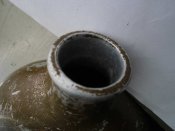 CIMG6514.JPG