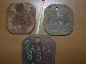 DSC09528.JPG