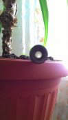 P_20160515_104547.jpg